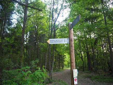 Signposts along the route